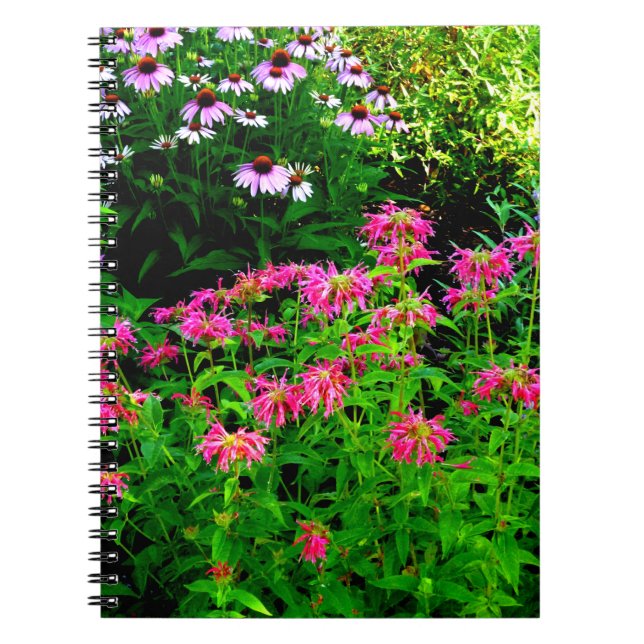 Carnet Bee Balm (Devant)