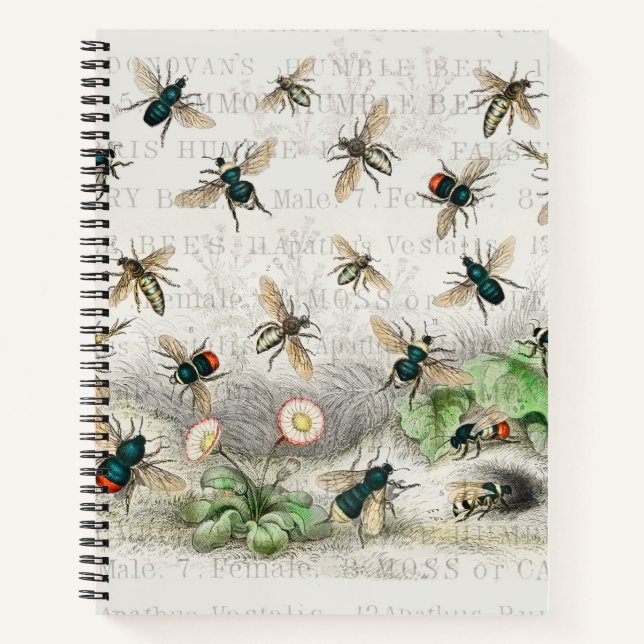 Carnet Bee Honey Travailleur Queen Bees Antique (Devant)