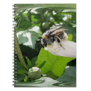 Carnet Bee in summer