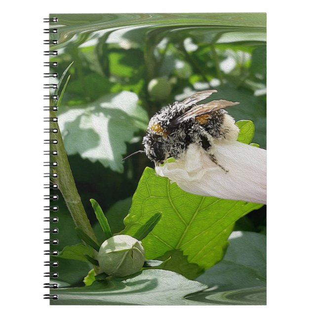 Carnet Bee in summer (Devant)