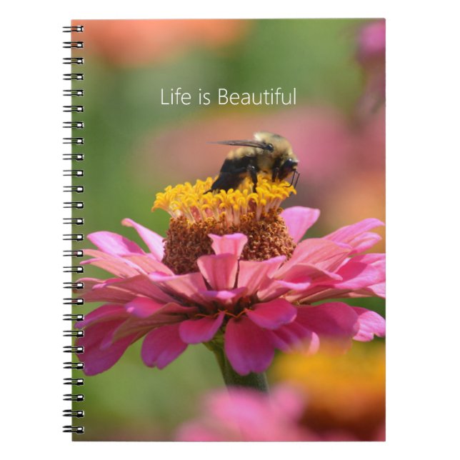 Carnet Bee Pink Zinnia Flower Garden (my photography) (Devant)