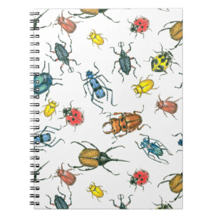 Carnet Beetles
