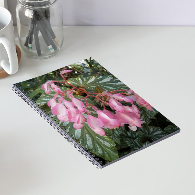 Carnet Bégonia à fleurs roses en forme d'aile d'ange (In Situ)
