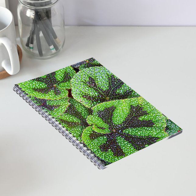 Carnet Begonia Croix de Fer Floral (In Situ)