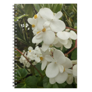 Carnet Begonia floral tropical blanc