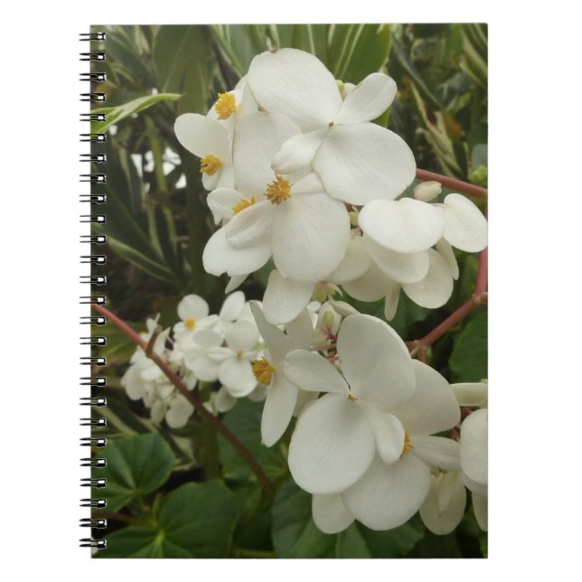 Carnet Begonia floral tropical blanc (Devant)