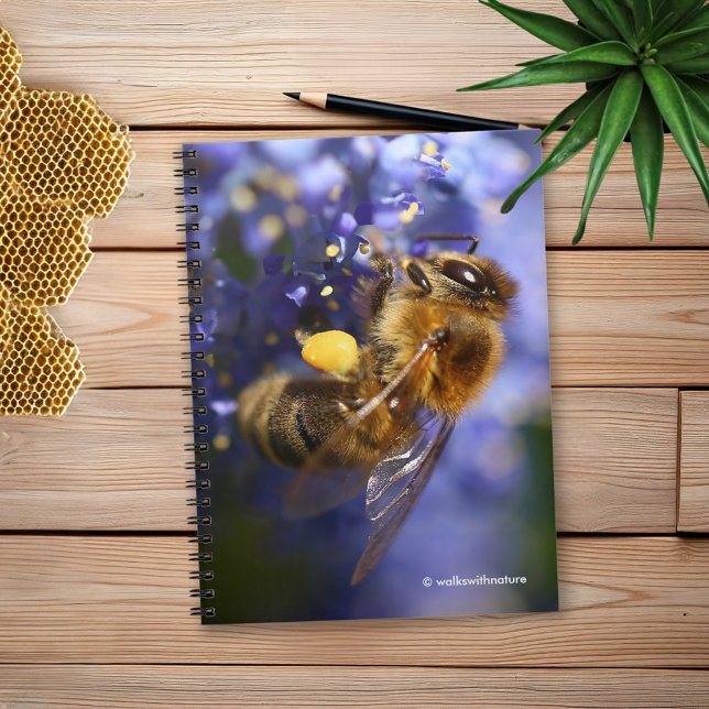 Carnet Belle abeille de miel sur la Californie Lilac (Honeybee on the California Lilac Journal Cover Photo)