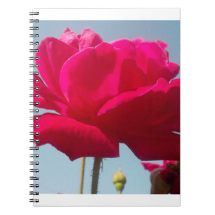Carnet Belle belle Rose céleste rouge contre bleu