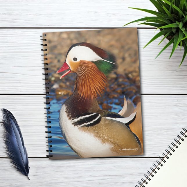 Carnet Belle Chatty Mandarin Canard à l'étang (Chatty Mandarin Duck at the Lake Journal Cover Photo)
