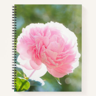 Carnet Belle fleur de pivoine rose à soleil