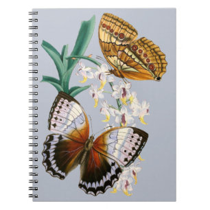 Carnet Belle illustration Vintage de papillon floral