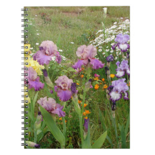 Carnet Belle Iris Fleur violet Fleur Photo