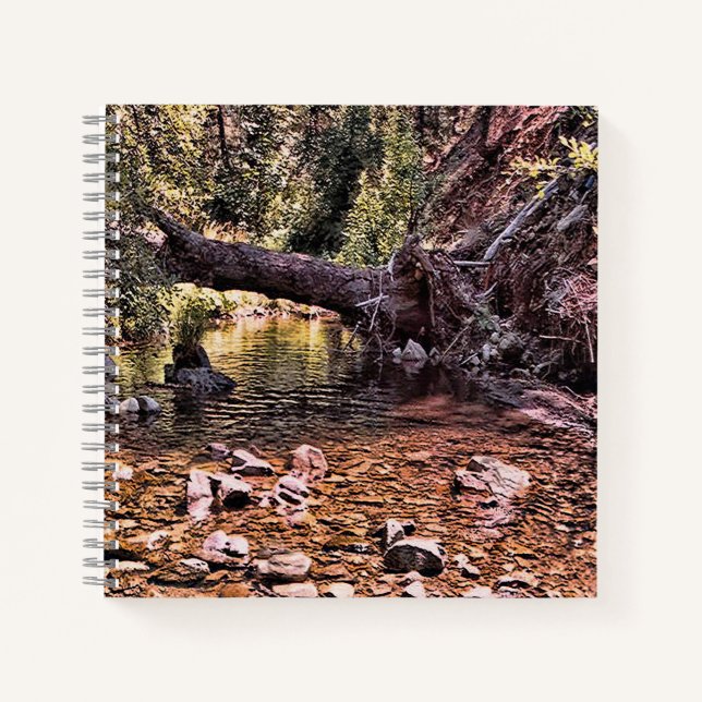 Carnet Belle matinée de printemps.... (Devant)