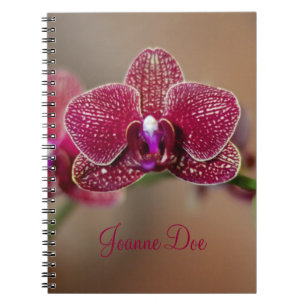 Carnet Belle orchidée rouge