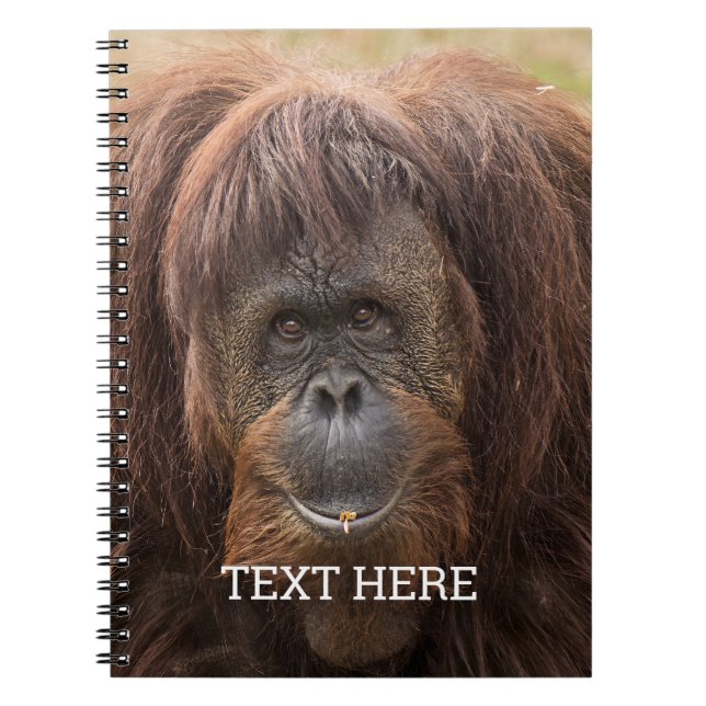 Carnet Belle photographie de Borneo Orangutan (Devant)