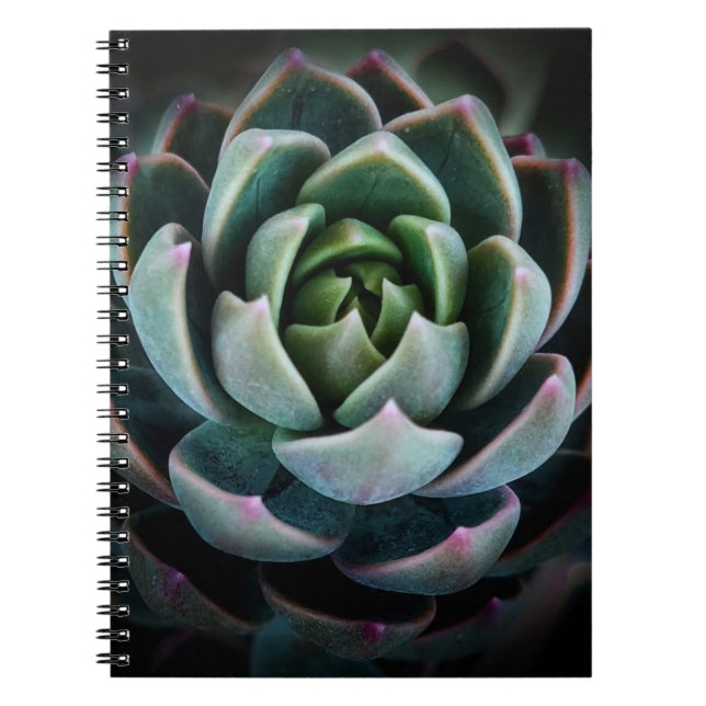 Carnet Belle photographie de fleur de succulente de la na (Devant)