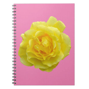 Carnet Belle rose jaune