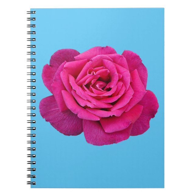 Carnet Belle rose rose (Devant)