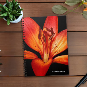 Carnet Belle Rouge Orange Asiatique Lily Gran Paradiso