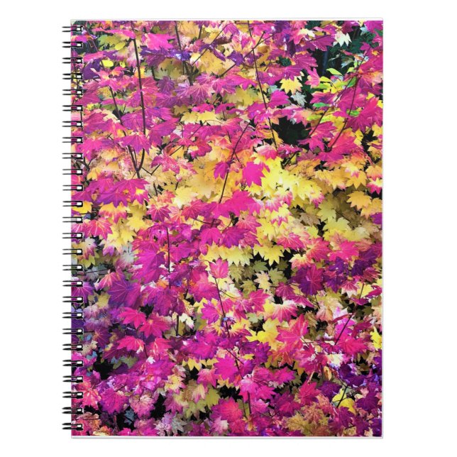 Carnet Belles feuilles automnales (Devant)