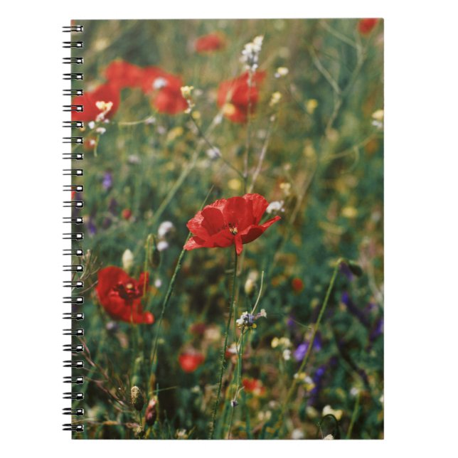 CARNET BELLES FLEURS (Devant)