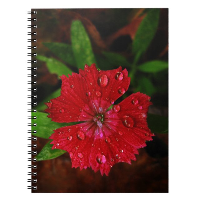 Carnet Belles gouttes de pluie sur la photo rouge de (Devant)