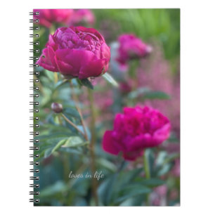 Carnet Belles Peonées de Jardin Rose Profond