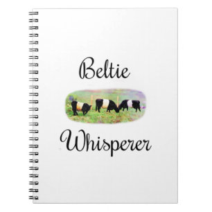 Carnet Beltie Whisperer Beltie Galloway Cattle Funny Cows