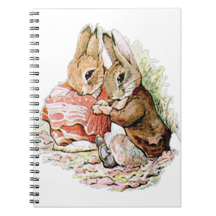 Carnet Benjamin Bunny stumbled upon Peter Rabbit
