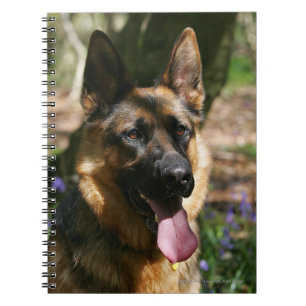 Carnet Berger allemand