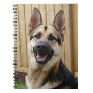 Carnet Berger allemand assis
