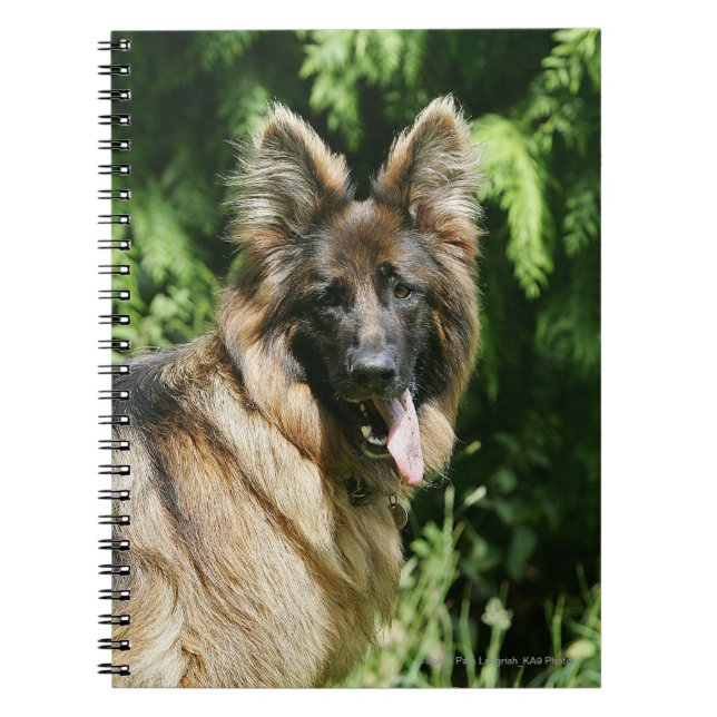 Carnet Berger allemand aux cheveux longs Brown 1 (Devant)