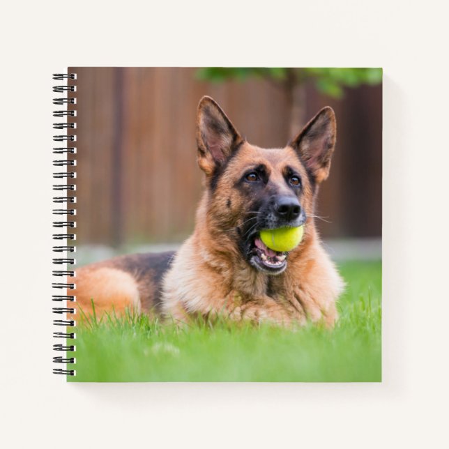 Carnet Berger Allemand Avec Bal De Tennis (Devant)