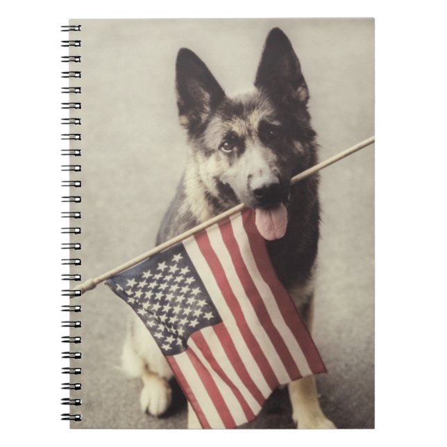 Carnet Berger Allemand Avec Drapeau US (Devant)