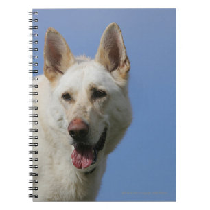 Carnet Berger allemand blanc