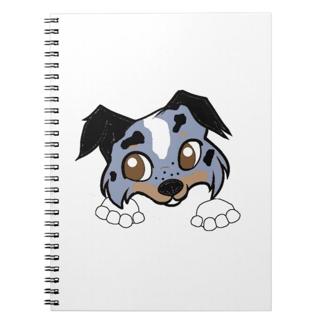 Carnet Berger des Shetland Blue Merle Tri Regardant Bande (Devant)