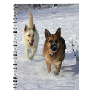 Carnet Bergers allemands courant dans la neige