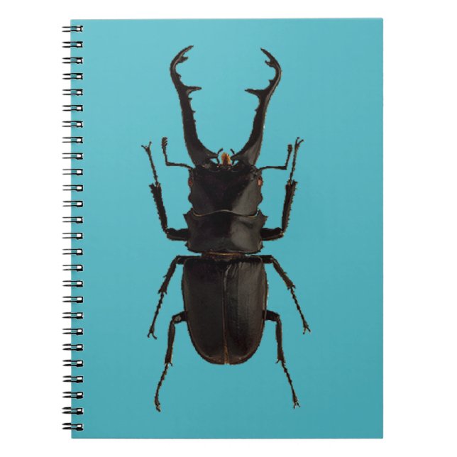 Carnet Béton de la tige (Devant)