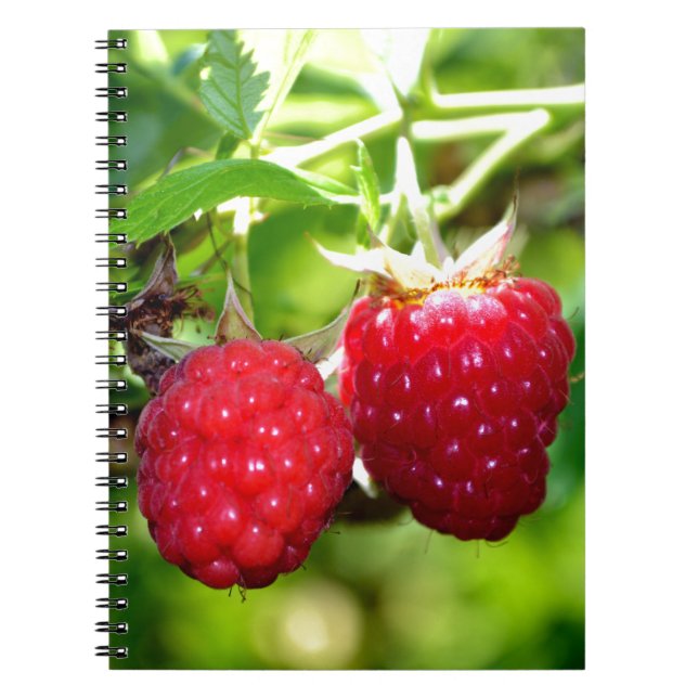 Carnet Beurre mûre photo Framboises framboises (Devant)