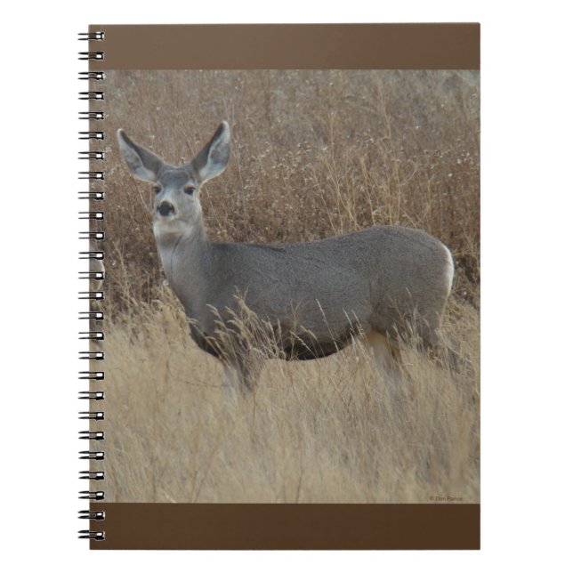 Carnet Biche de cerf mulet D14 (Devant)