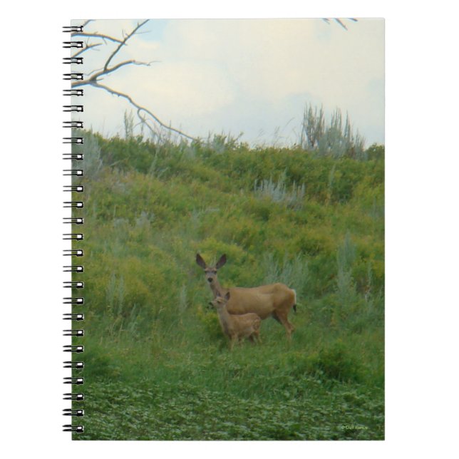 Carnet Biche et faon de cerf mulet D5 (Devant)