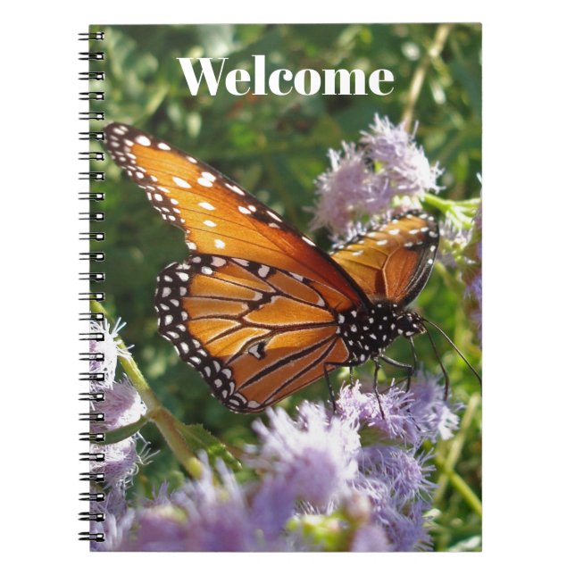 Carnet Bienvenue Monarch Butterfly Photo Commentaire de l (Devant)