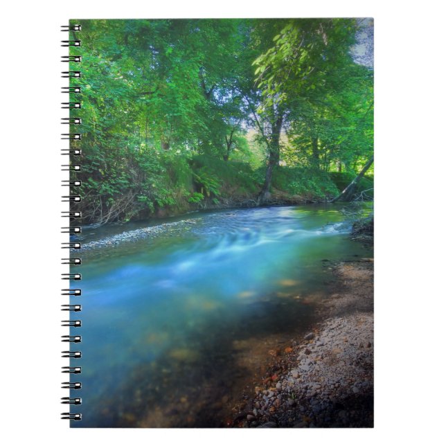 Carnet Big Chico Creek, Chico State University (Devant)