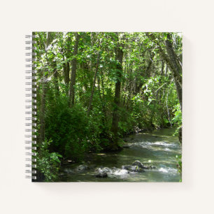 Carnet Big Creek en été.....