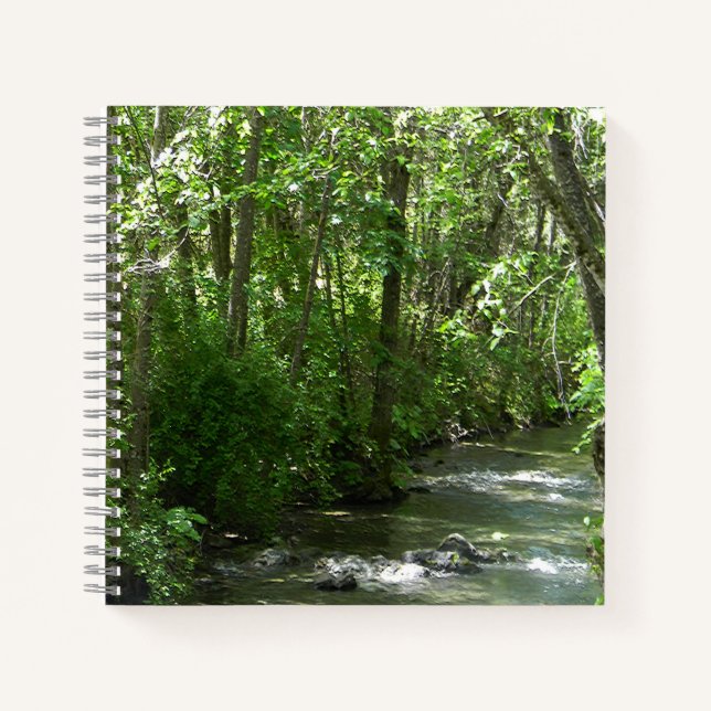 Carnet Big Creek en été..... (Devant)