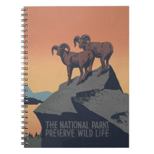 Carnet Bighorn Sheep American West Wildlife