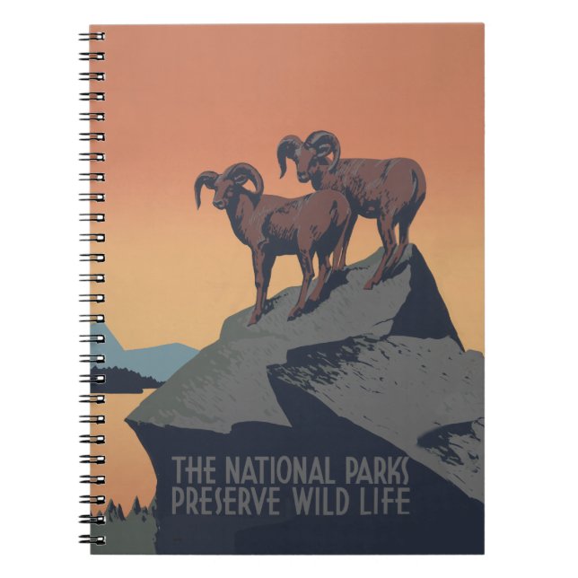 Carnet Bighorn Sheep American West Wildlife (Devant)