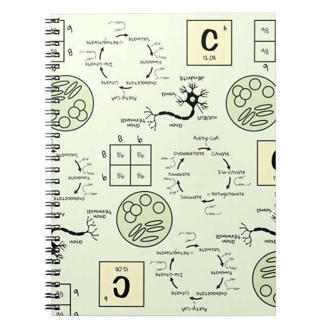 Carnet Biologie Science Enseignant Cellule Génétique Neur (Devant)