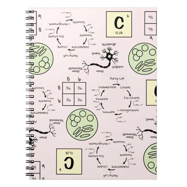 Carnet Biologie Science Enseignant Cellule Génétique Neur (Devant)