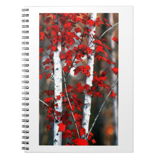 Carnet Birch#2-Notebook